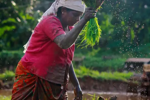 DeHaat clone agriculture marketplace app development by Nodewap Technology