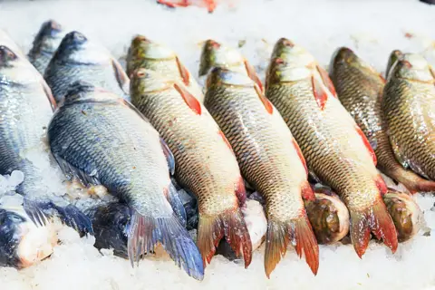 Licious clone meat & seafood delivery app development by Nodewap Technology